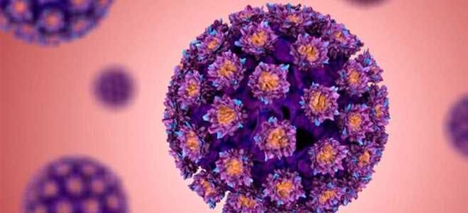 HPV - Papillomavirus Manusa